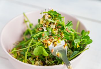 maş fasulyeli salata